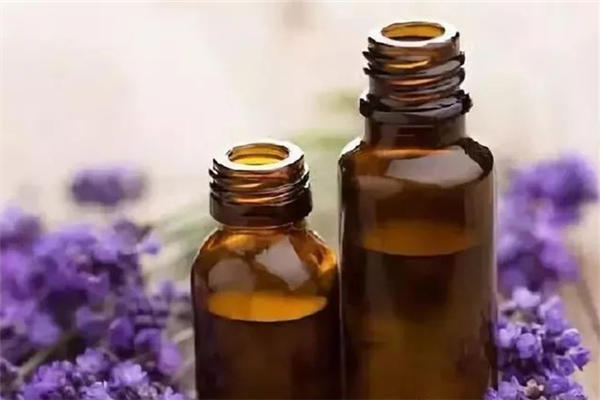 薰衣草精油的功效和作用 薰衣草精油去疤痕真的有效吗