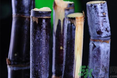 老人一天吃多少甘蔗最好?老人一天吃多少甘蔗合适?