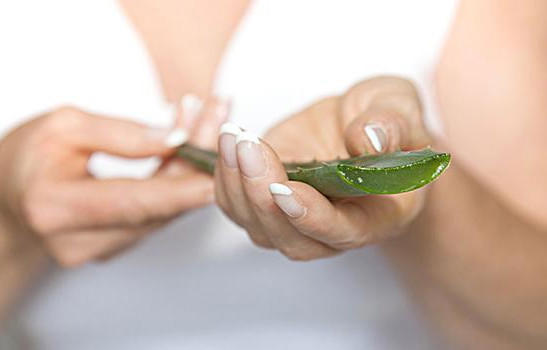 芦荟有哪些美容功效 芦荟的美容功效与作用