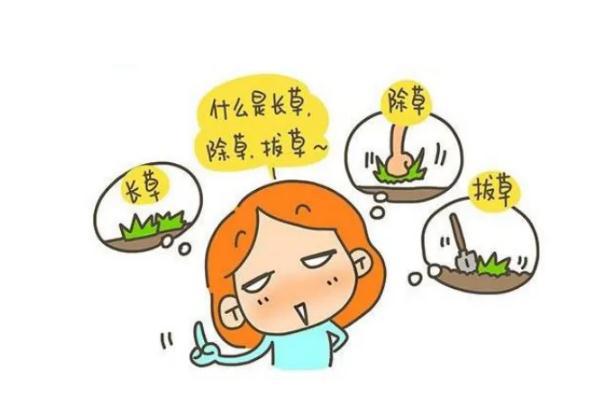 拔草是什么意思 拔草和种草的区别