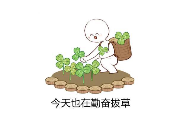 拔草是什么意思 拔草和种草的区别