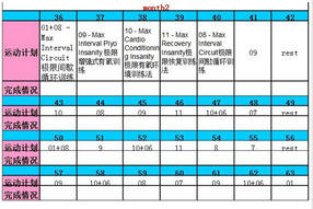 insanity是什么 能减肥吗