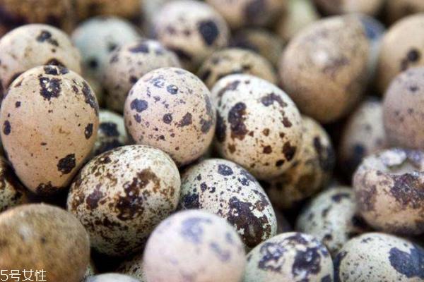 鹌鹑蛋如何煮更入味 一定要学的妙招