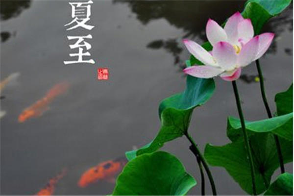 夏至应该吃什么 夏至节气吃什么对身体好