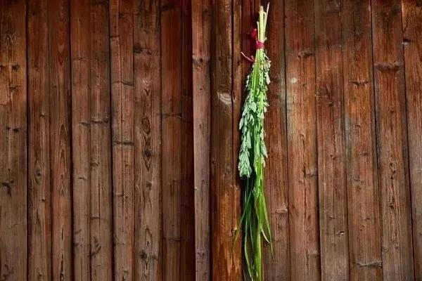 艾叶什么时候挂门上最好 艾叶挂门上的寓意