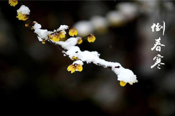 倒春寒是什么意思 倒春寒意味着什么