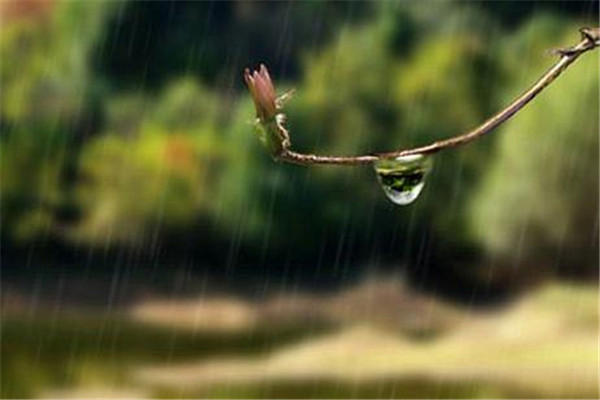 2019梅雨季节是什么时候 梅雨季节是什么