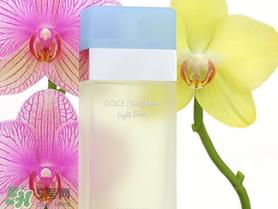 dolce gabanna香水哪款好闻?DG杜嘉班纳香水推荐