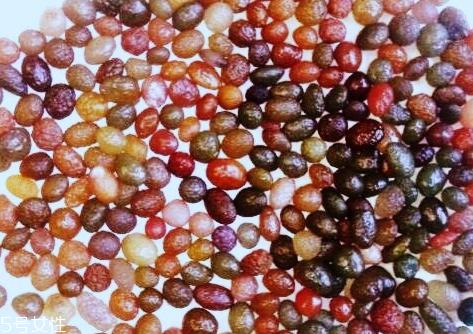 葡萄籽怎么吃？建议这样吃