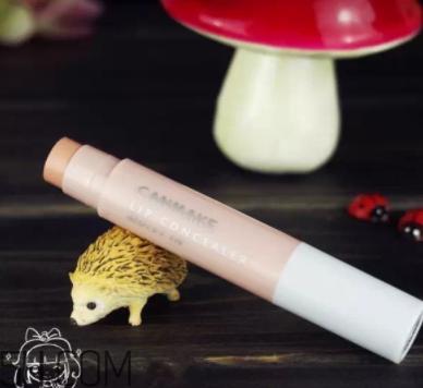 2018年唇部遮瑕膏哪个牌子好？2018唇部遮瑕膏排行榜前十强