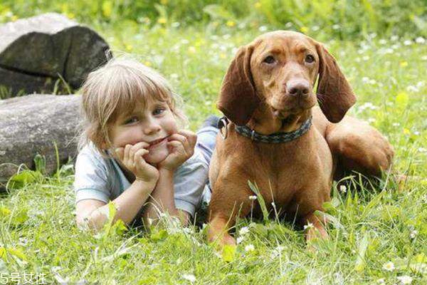 打狂犬疫苗最佳时间是什么呢 狂犬疫苗应该怎么打呢