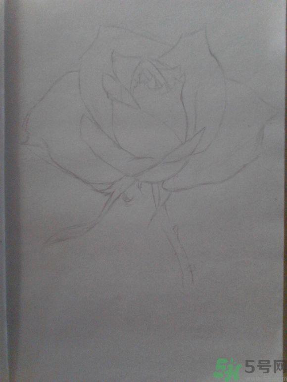 16岁少年圆珠笔画出大作 圆珠笔画入门教程？