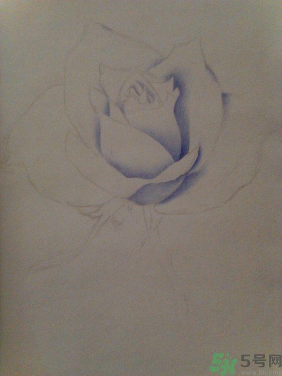 16岁少年圆珠笔画出大作 圆珠笔画入门教程？