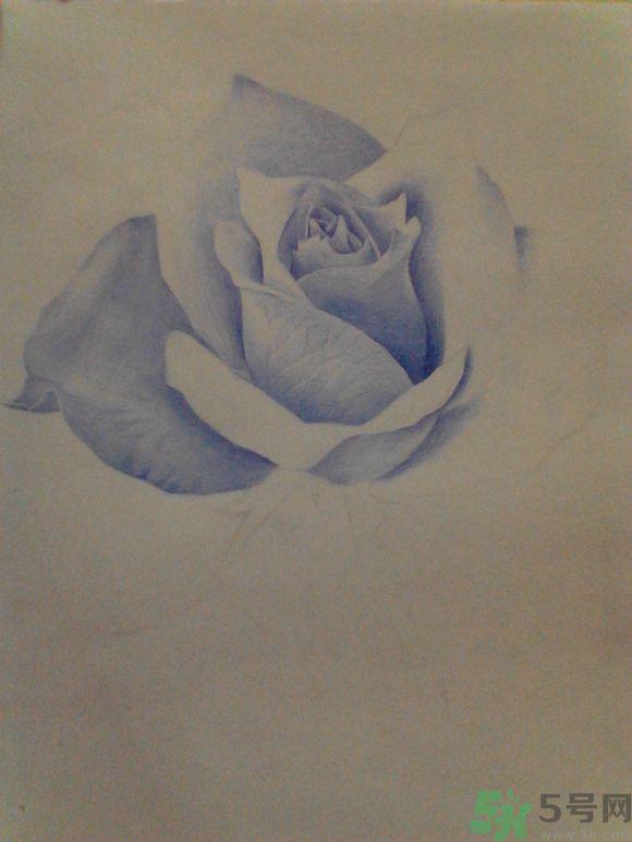 16岁少年圆珠笔画出大作 圆珠笔画入门教程？