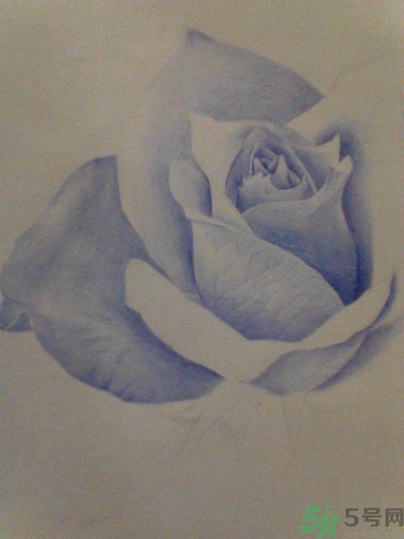 16岁少年圆珠笔画出大作 圆珠笔画入门教程？