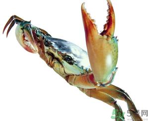 河蟹怎么保存？​活河蟹怎么保存？