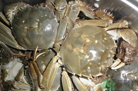 河蟹怎么保存？​活河蟹怎么保存？