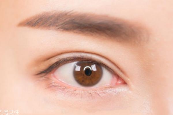 kate三色眉粉怎么样好用吗 kate三色眉粉画眉教程