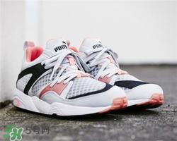 puma大白鲨正品多少钱？彪马大白鲨价格
