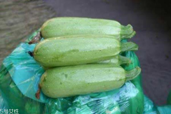 什么是北瓜呢 北瓜有什么营养价值呢