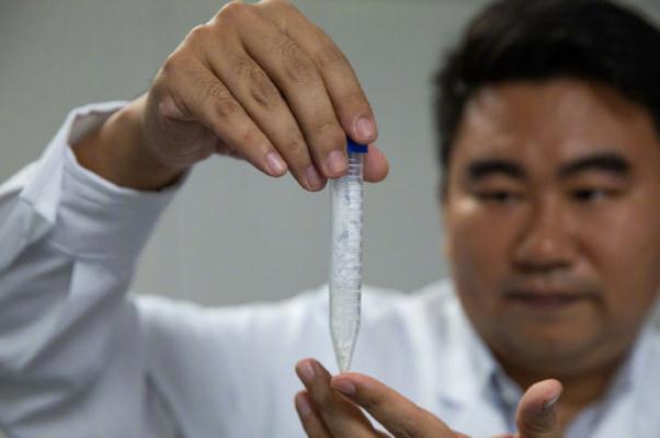 淀粉和生粉一样吗 淀粉和生粉有什么区别