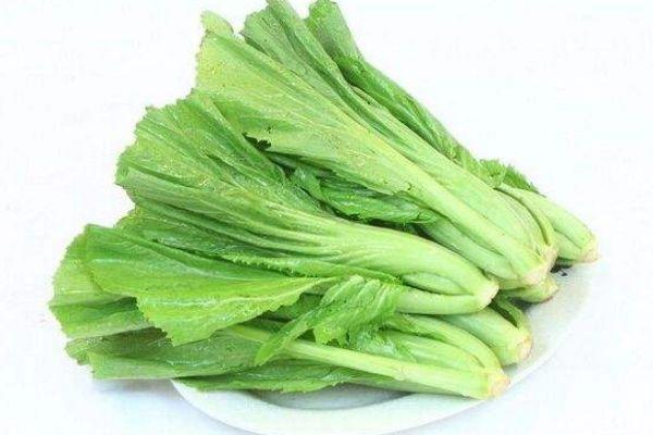 芥菜有什么营养价值呢 吃芥菜有什么好处呢