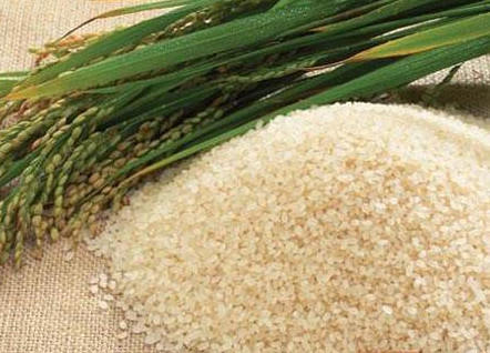 转基因是什么意思？美国人不吃转基因专卖中国人