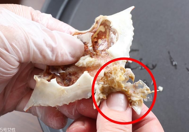 螃蟹怎么吃图解 优雅品尝螃蟹