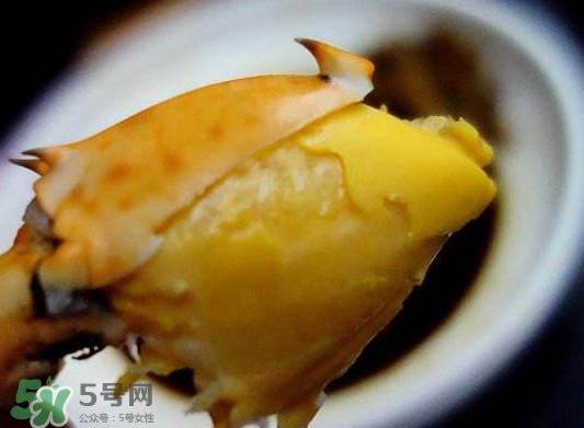 黄油蟹是什么蟹?黄油蟹多少钱一只