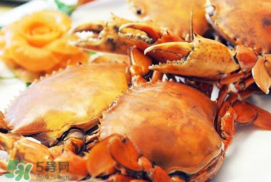 黄油蟹是什么蟹?黄油蟹多少钱一只
