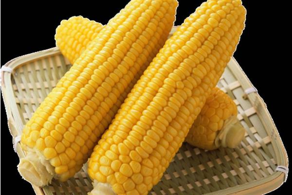 主食有哪些 主食对人体很重要