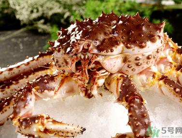 帝王蟹多少钱一斤？帝王蟹多少钱一只？