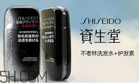 资生堂不老林洗发水好用吗?资生堂不老林洗发水多少钱?