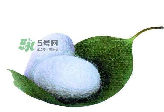 蚕茧多少钱一斤2017?2017年蚕茧价格是多少?