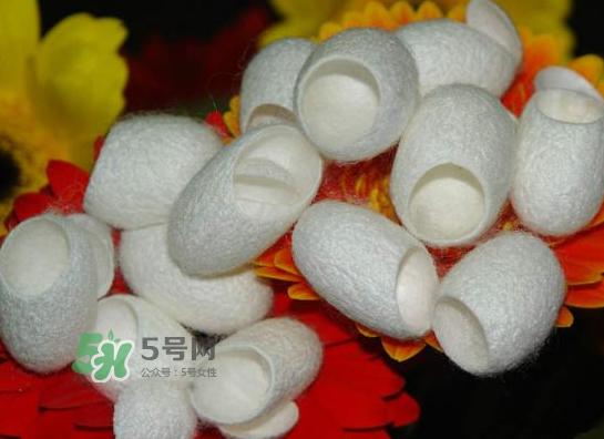 蚕茧多少钱一斤2017?2017年蚕茧价格是多少?