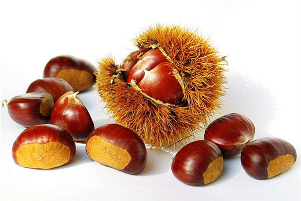 板栗怎么去皮和壳 板栗剥壳最快方法