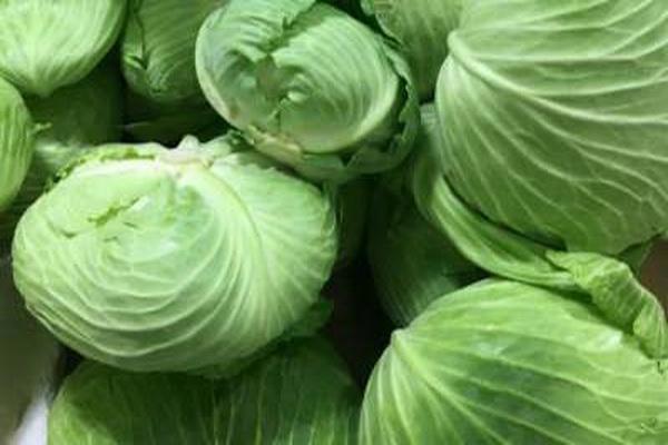 如何炒包菜又软又入味 包菜怎么炒不会出水