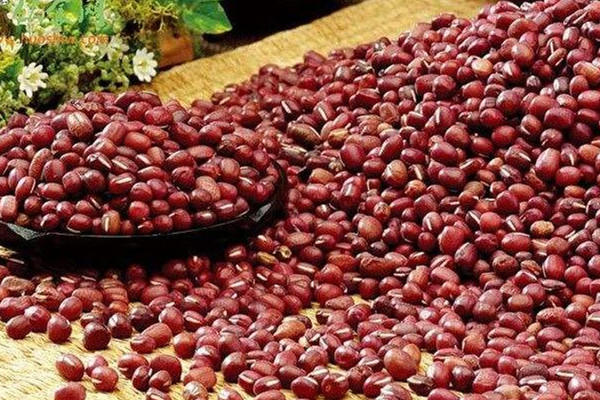 红豆为什么叫相思豆 原因是这样