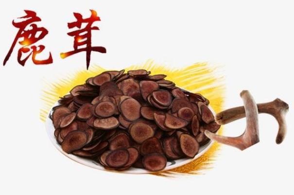 鹿茸片怎么吃效果最好 鹿茸片的正确吃法