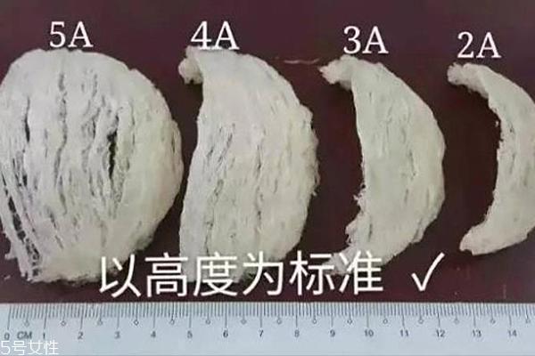 燕窝外形的图片大全 燕角性价比最高