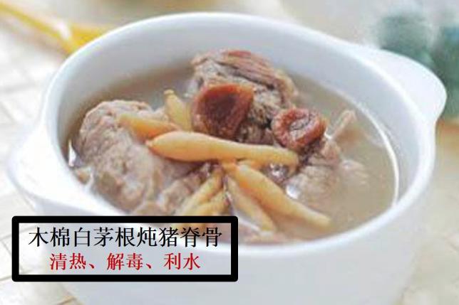 木棉花煲汤有什么功效 木棉花煲汤的最佳搭配