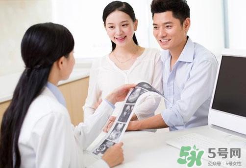 怀孕几个月可以看出胎儿男女性别?