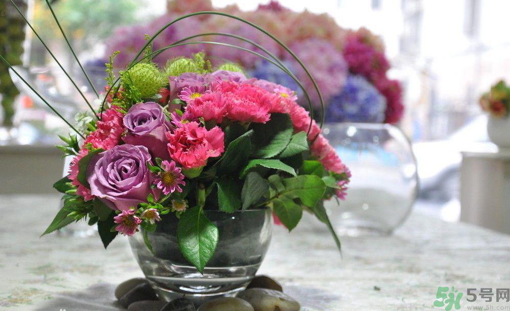 母亲节送几朵康乃馨好？母亲节应该送几朵康乃馨？