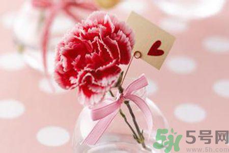 母亲节送几朵康乃馨好?母亲节应该送几朵康乃馨?
