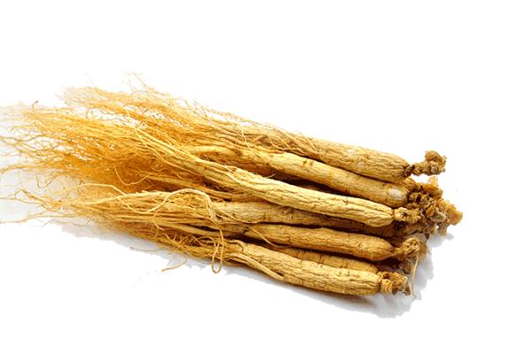 长白山人参是凉性还是热性 长白山人参有什么功效