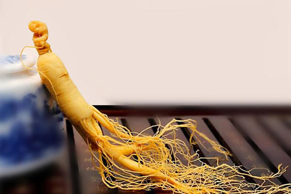 长白山人参是凉性还是热性 长白山人参有什么功效