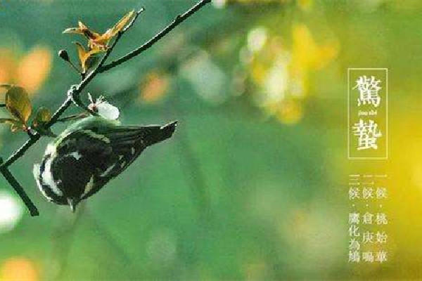 惊蛰是第几个节气 惊蛰是2022年的几月几日