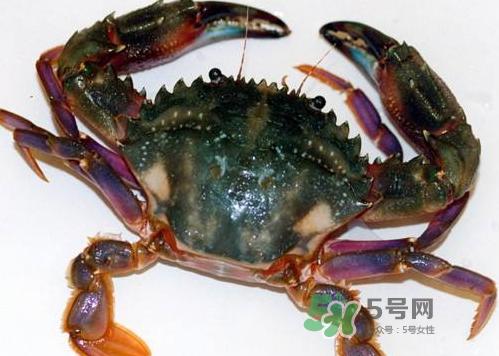 螃蟹腿蓝色的是什么？螃蟹腿为什么是蓝色？