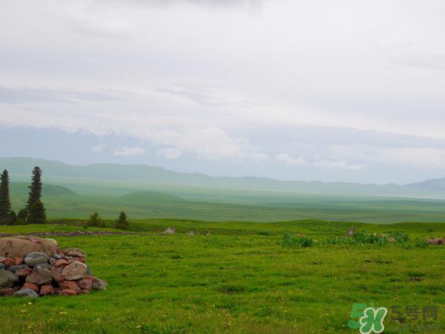 去新疆旅游攻略 去新疆旅游推荐路线