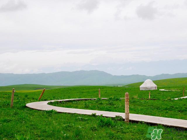 去新疆旅游攻略 去新疆旅游推荐路线